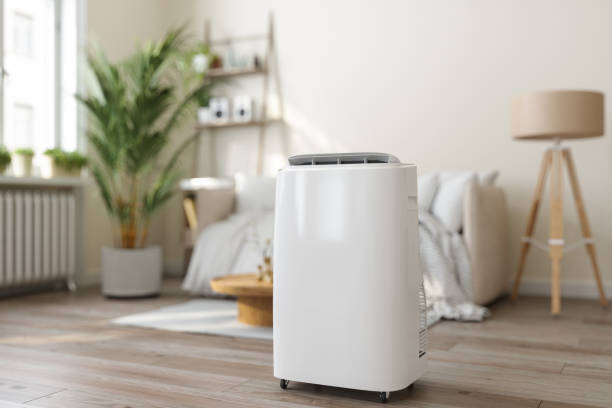 Best Energy-efficient HVAC Solutions in Edneyville, NC